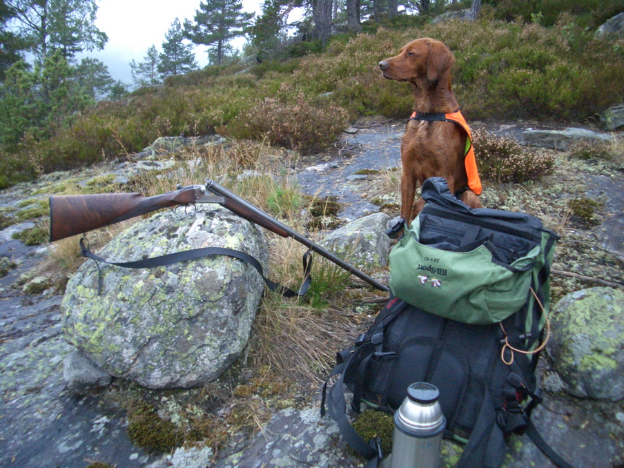 Scott - Capercaillie country